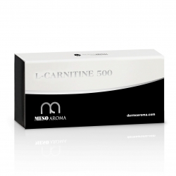 MESOAROMA L-CARNITINE 500 10ml
